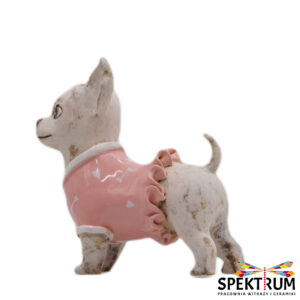 Pies Chihuahua w różowym ubranku