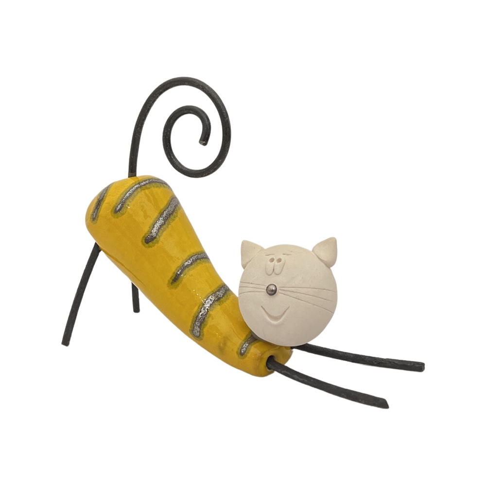 Kot Muniek żółty prawostronny